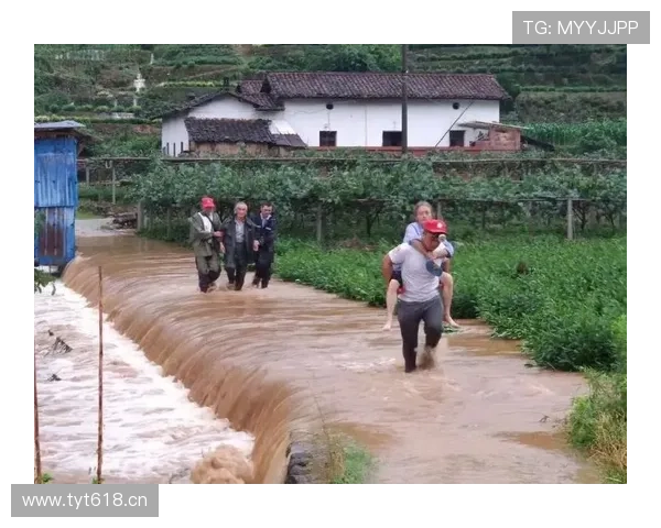 问鼎滚球盘：最新赔率动态及时掌握赢得比赛的关键